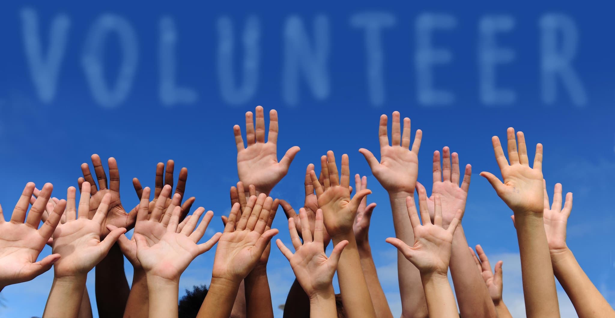 Youth Empowerment & Volunteer Action #15