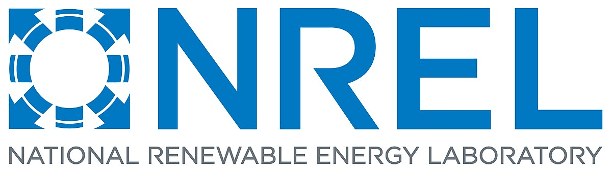 Youth Empowerment & Volunteer Action #29